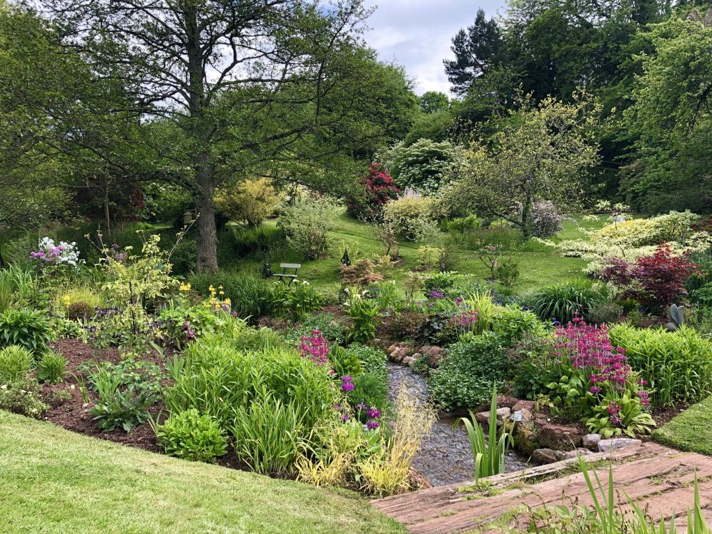 A photo of a country garden with a stream running through it in the grounds of a cottage in Combeinteignhead