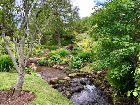 Photo of a beautiful country garden in Combeinteignhead with a stream running through it
